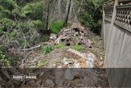 Photos of before and after clearing development land